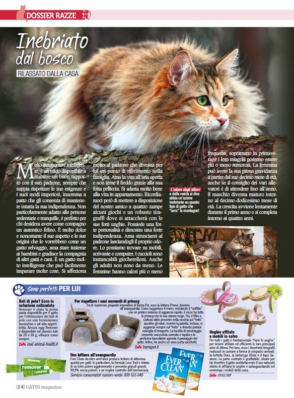 Ga Ma Dic 2017 - Gen 2018 (6)