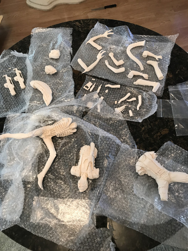 409AA0BF-37BE-45BC-BD49-3BFD4AA6449F