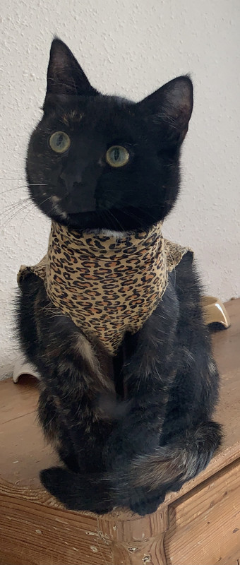 E900EB78-96D4-4413-A97A-1A4DF6601C4D