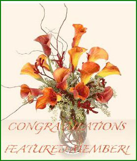 Orange-Flowers-in-Vase