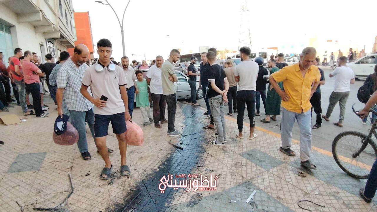 449176811_1484963299081966_216419142081673874_n (1)