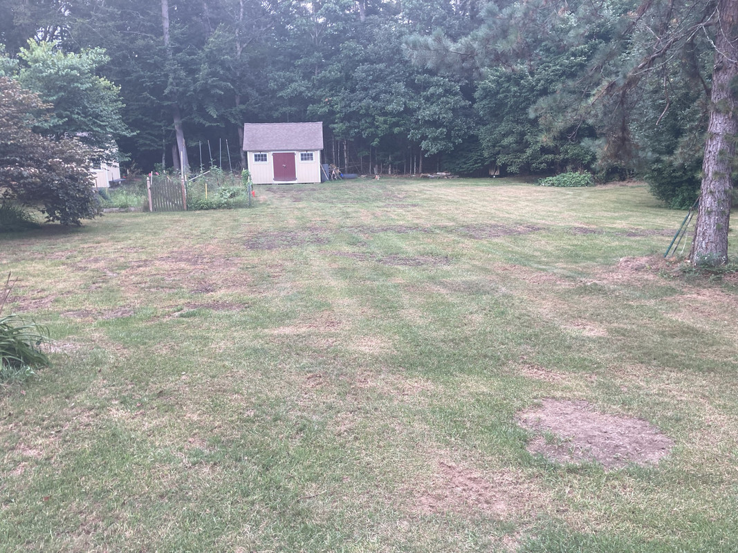 EA123B02-969F-4DB3-A05D-1AA93786203B