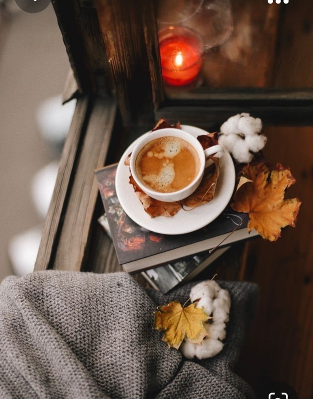 Screenshot_20231008_222600_Pinterest