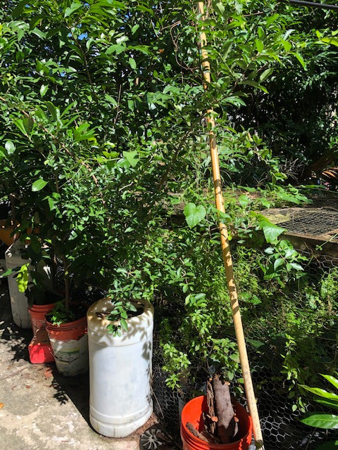 FE2FB885-0D66-469C-BC10-D2845CA4091D