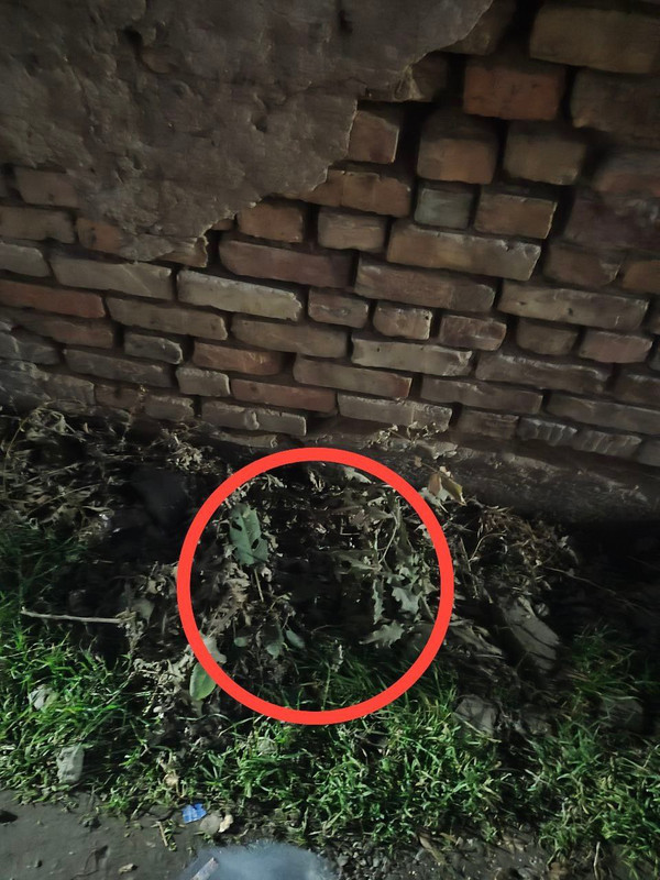 photo 2025 11 24 22 56 56