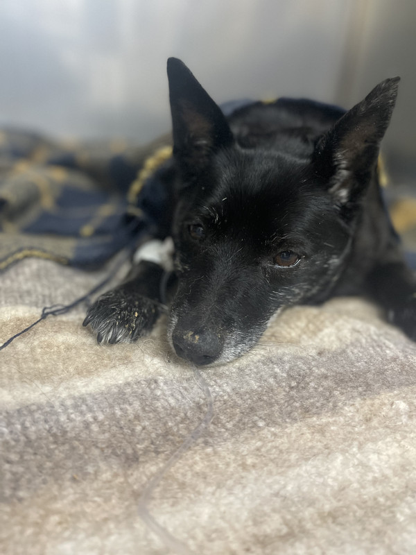 310EC39C-F2AC-4934-A794-45D79D9264A6