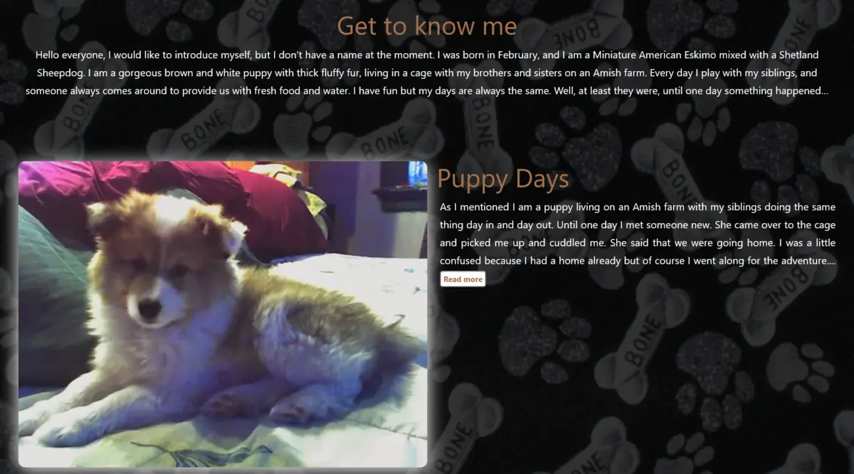 Pet Tribute