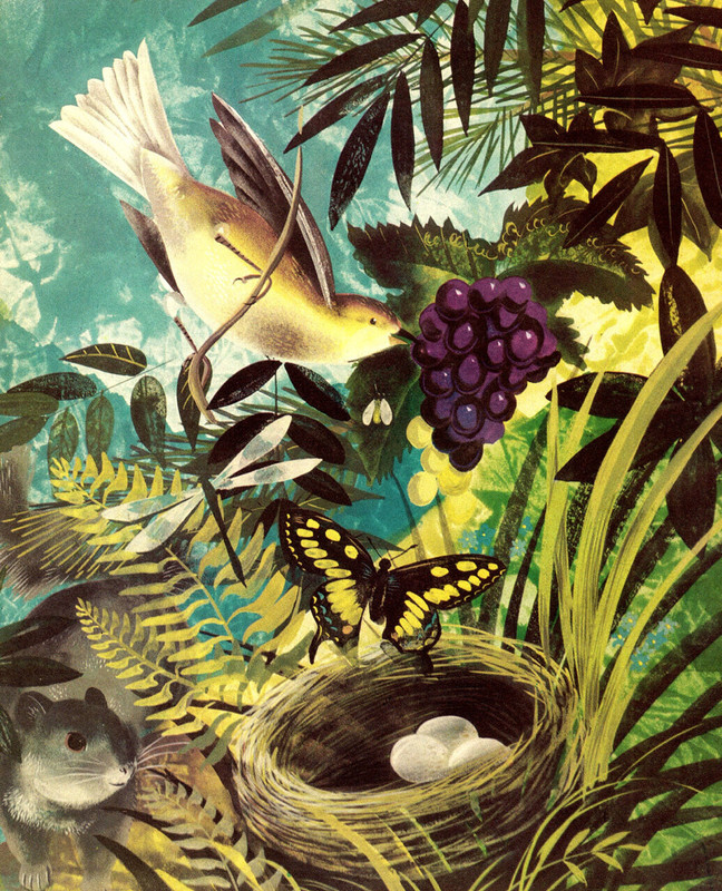 5318637572_f2e0cae48e_o