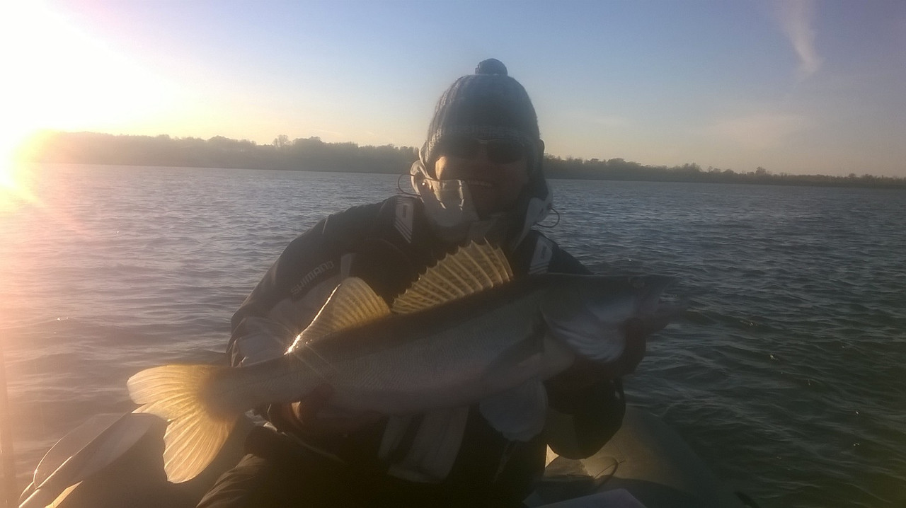 24 2 И. Илья, Томск