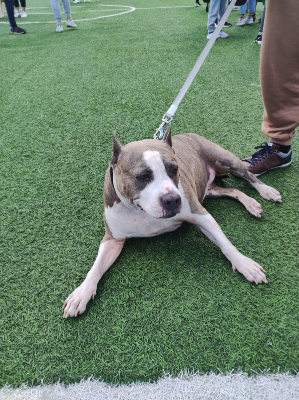 61FAF172-059F-4AE4-A9D2-ADC2B03B1CE9