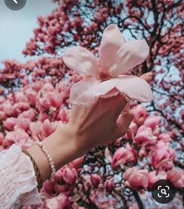 Screenshot_20240330_235012_Pinterest