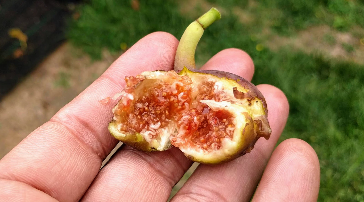 Easton Find 09-09-19 B