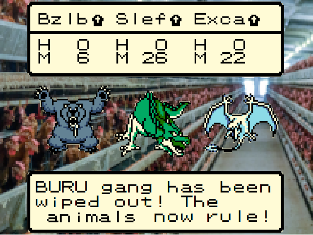 image-4-1.png