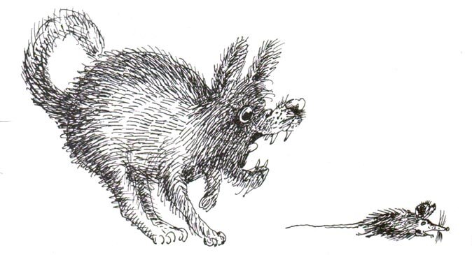 61