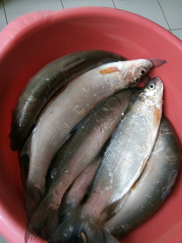 IMG-2991e2a9279c6015faa9aa0d13087280-V