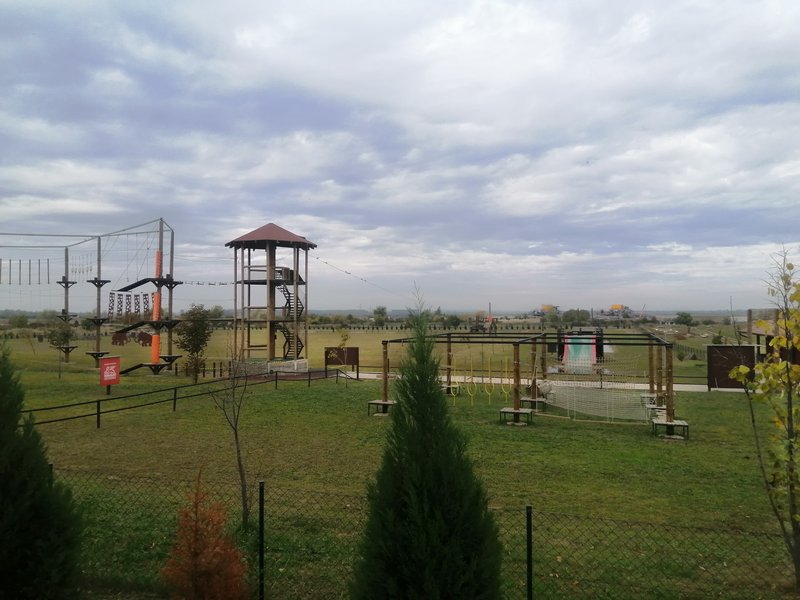 Slika