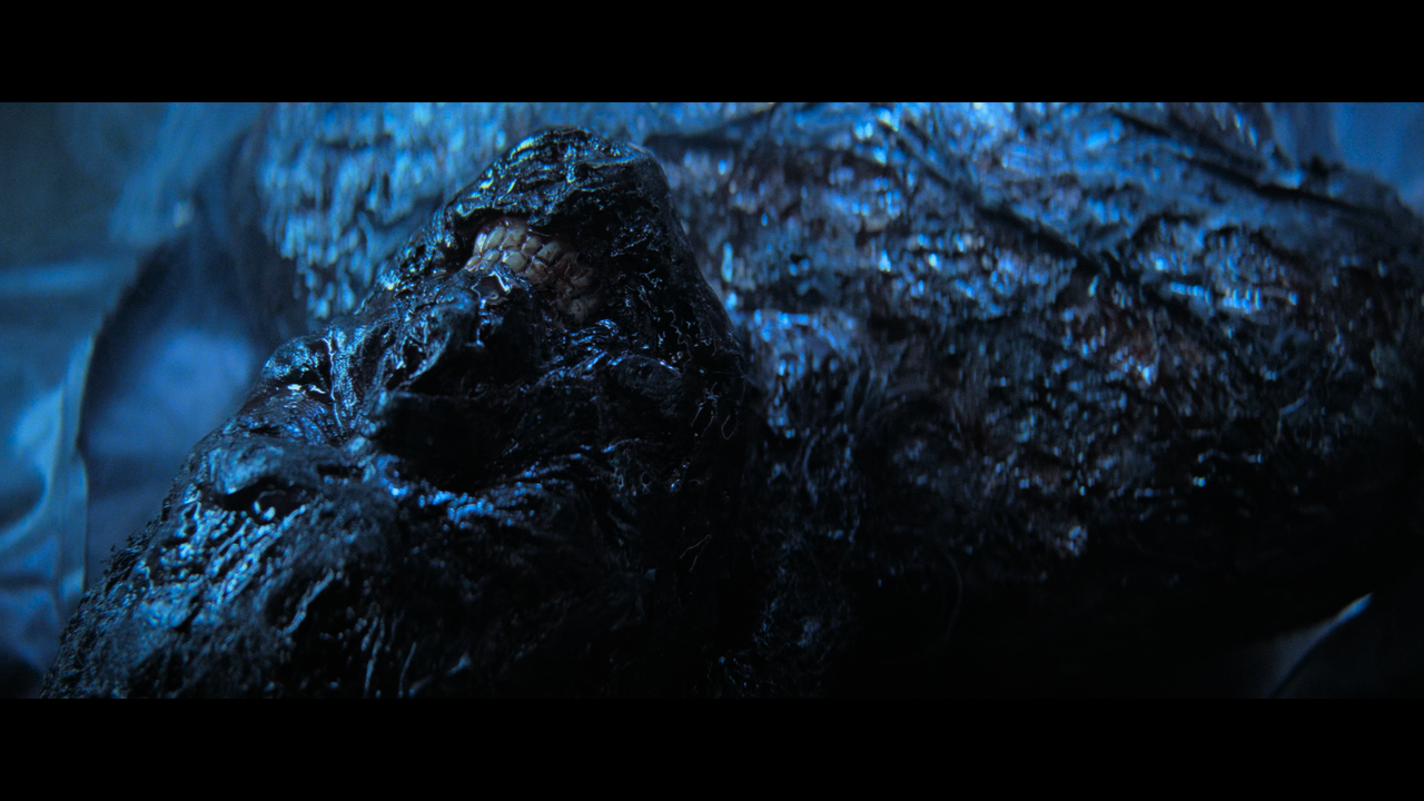 442011bd67a2e020869fe9654329454e