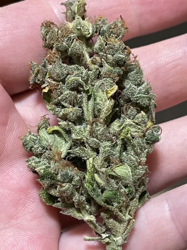 121275AF-08A0-458C-91E2-D64EFCE5609C