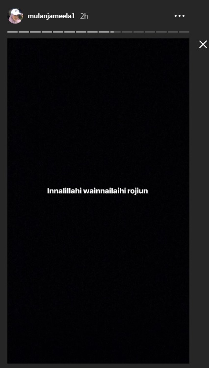 Instagram Story (mulanjameela1)

