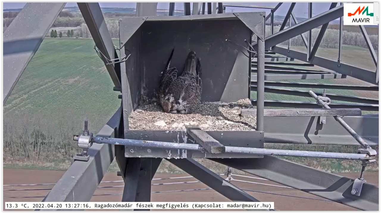 Screen Shot 04-20-22 at 01.27 PM 002