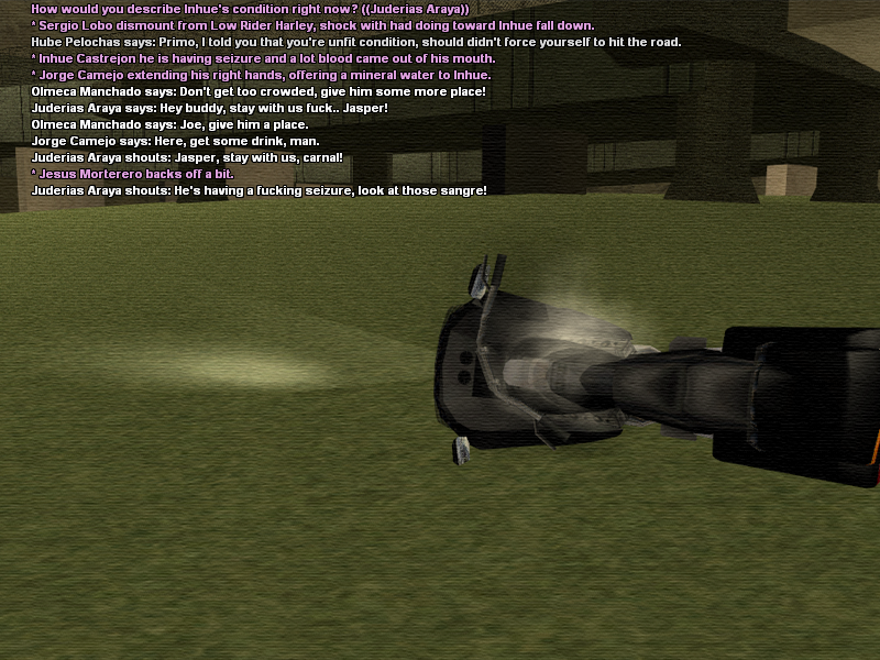 ssroleplay956.png