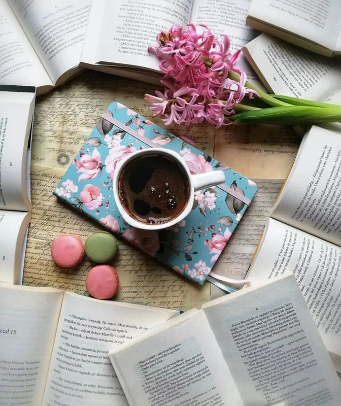 Screenshot_20240112_231510_Instagram