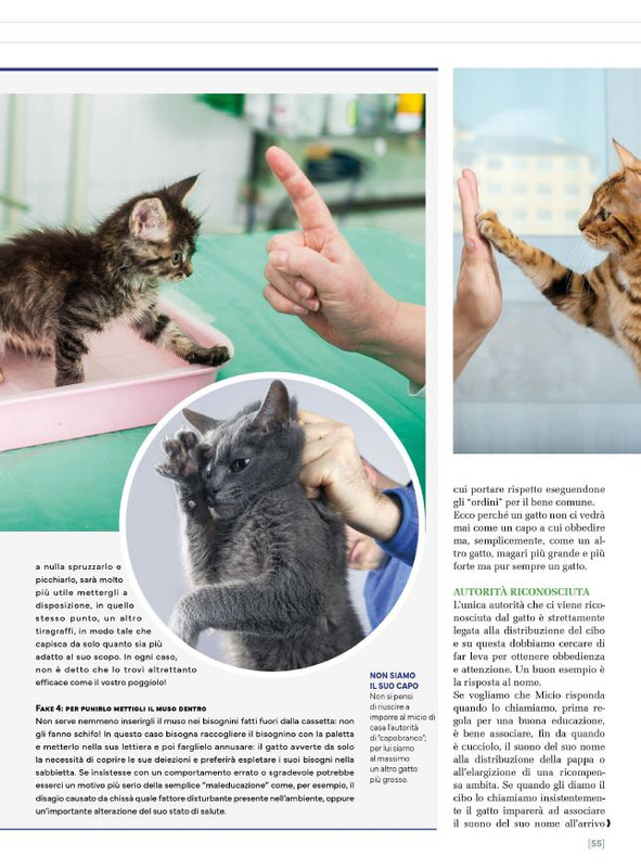 Ga Ma Ott-Nov 2024 (12)