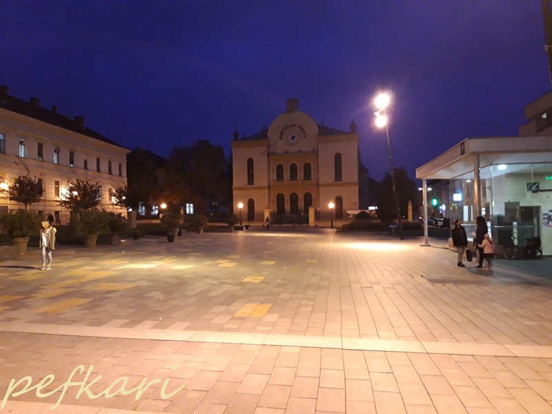 Slika