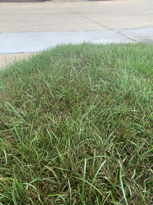 9F88DA1F-FBC9-4EF3-A346-CFEFAA7B9009