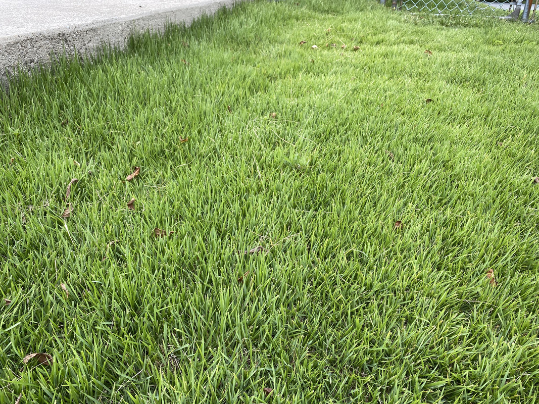 56C5060D-D223-4C89-BB6B-AA6669332DE2