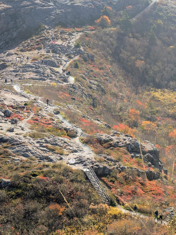 PXL 20251026 140222418 MP 2