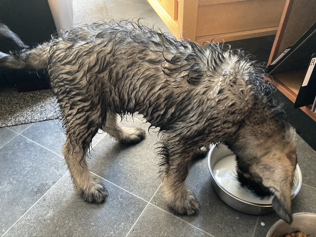 3A5A85F3-62D3-48B1-AD42-C9D43144E0BB_1_105_c