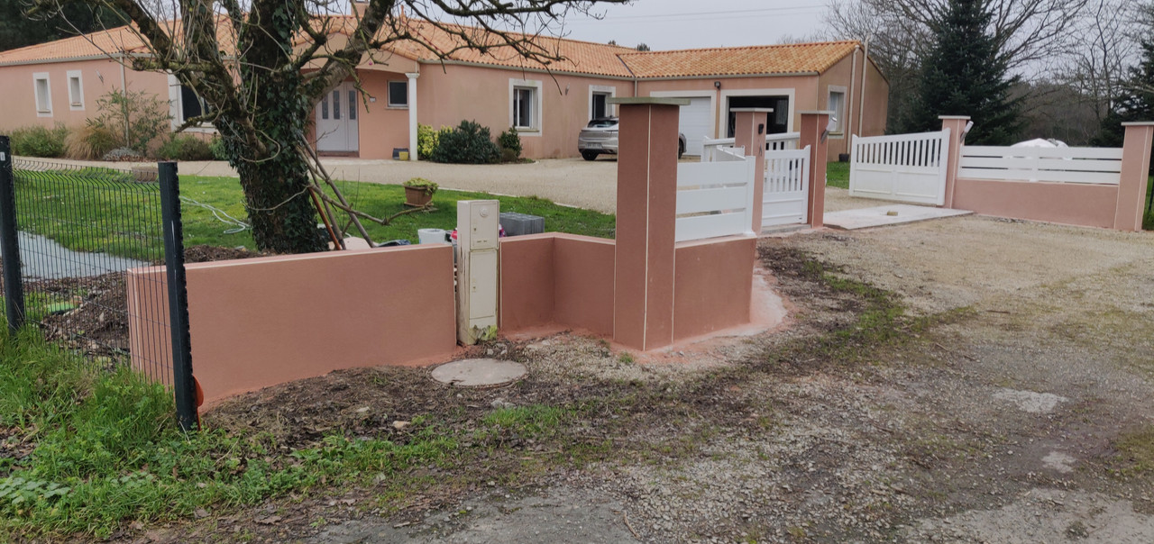 IMG_20241230_160316 (1)