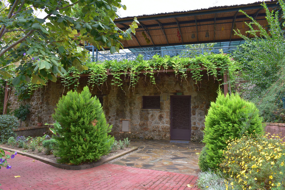 Βοτανικός Κήπος