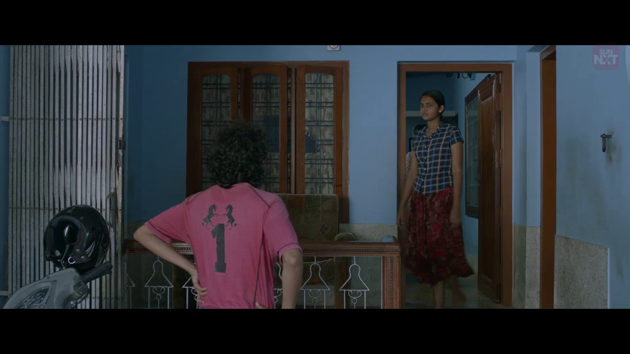 vlcsnap 2026 02 11 15h55m39s516