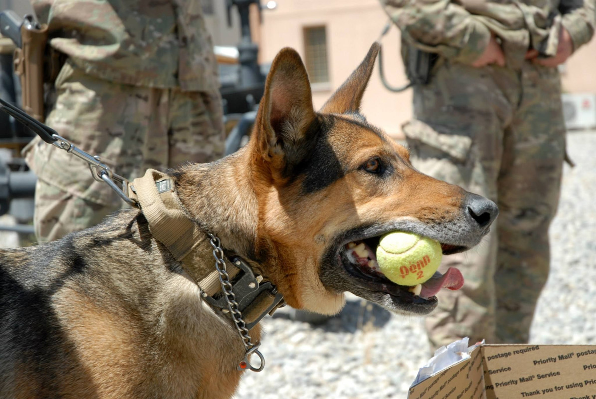 11056557_843168459113459_9010230795160580153_o