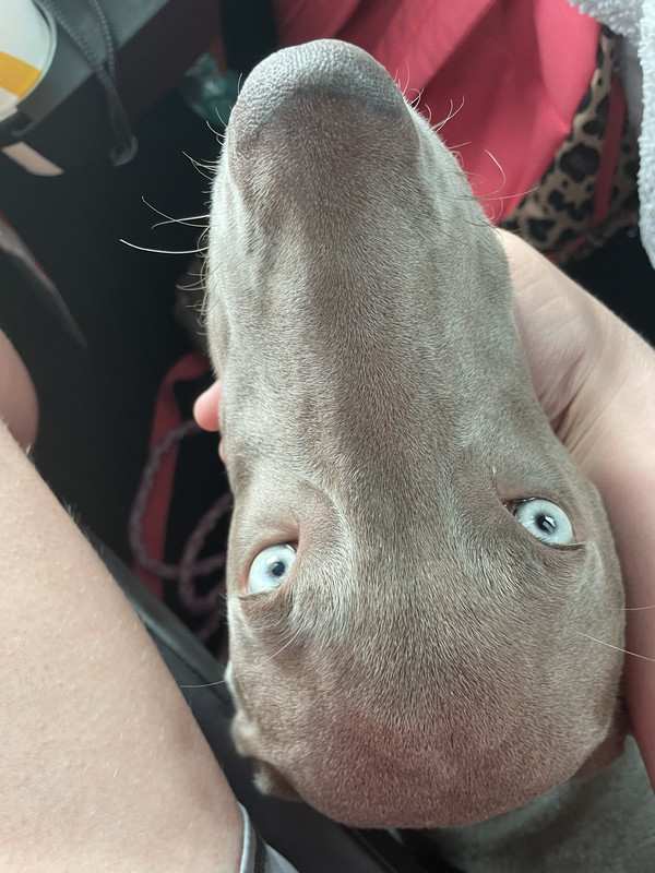 106DD261-ED87-4330-930E-5A0CA3490E6E