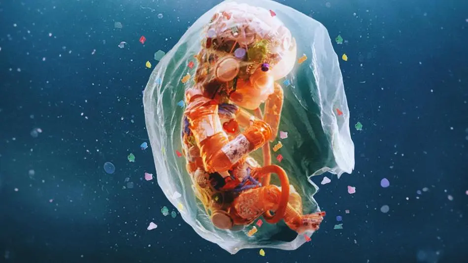 Tiny Plastics within the Body Incite Huge Fears over Fertility