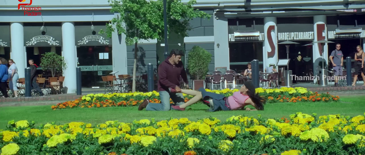 vlcsnap-2025-09-30-17h55m57s842