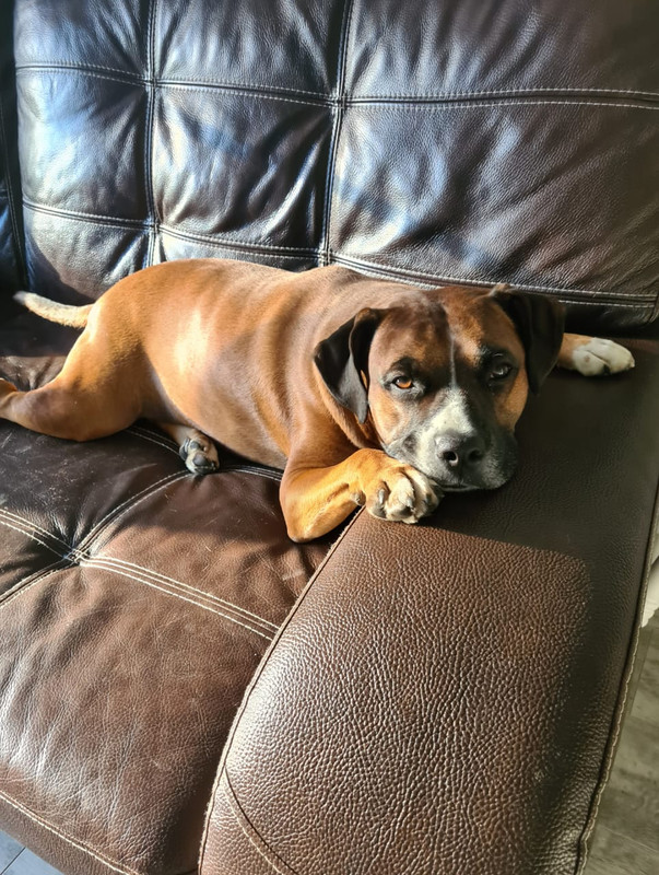 D7F57791-1A00-49ED-A7D2-303B0C124BC7