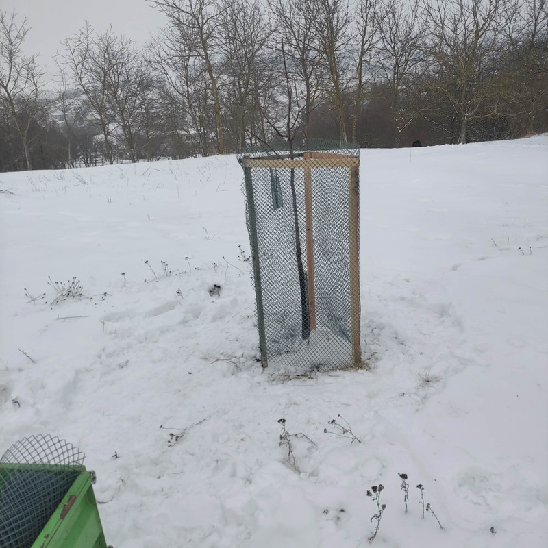 614674256 1876055273048283 3171756053931733993 n