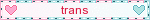 trans blinkie