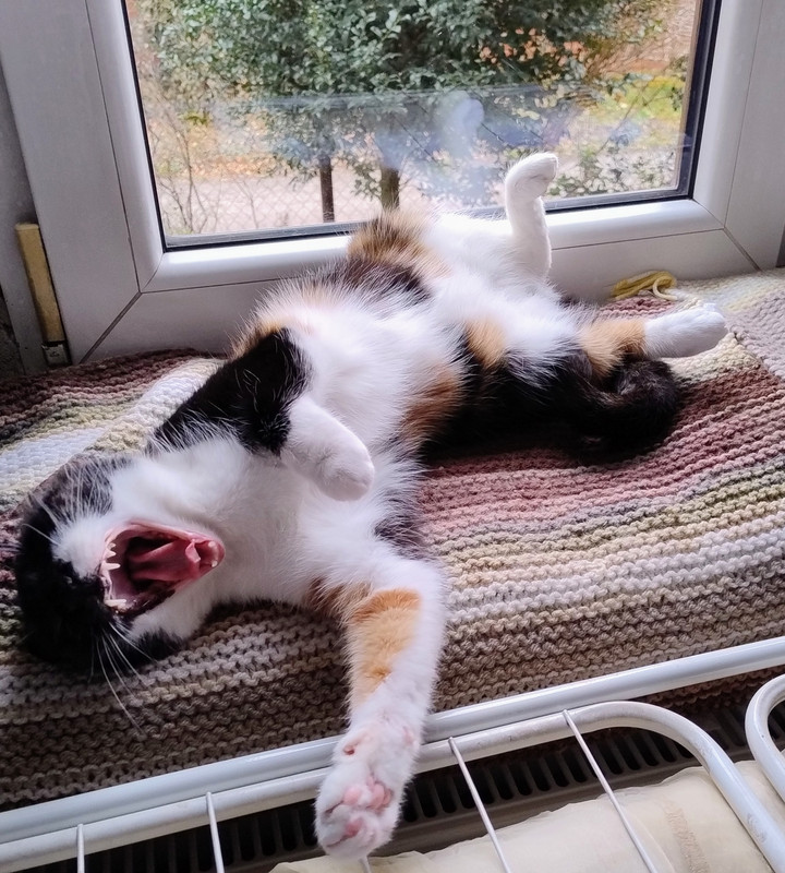 IMG 20260330 181143168 AE