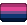 straight bi