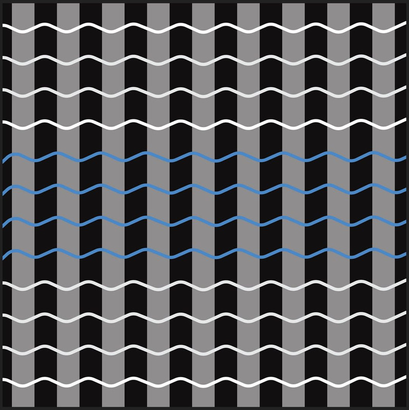 125183689_2496276430674000_2512190359896953671_o