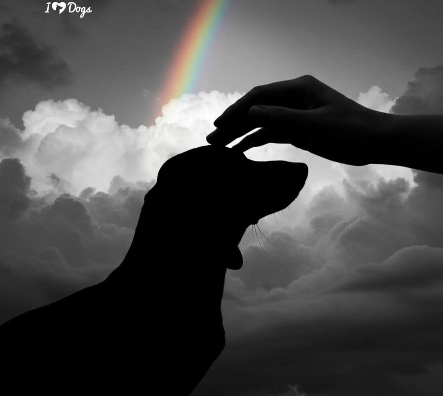 [Image: FB-IMG-1756449602889.jpg]