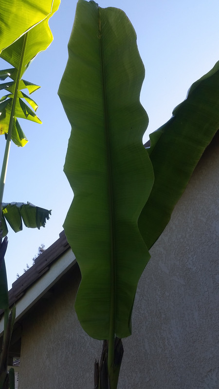 20180425_173837