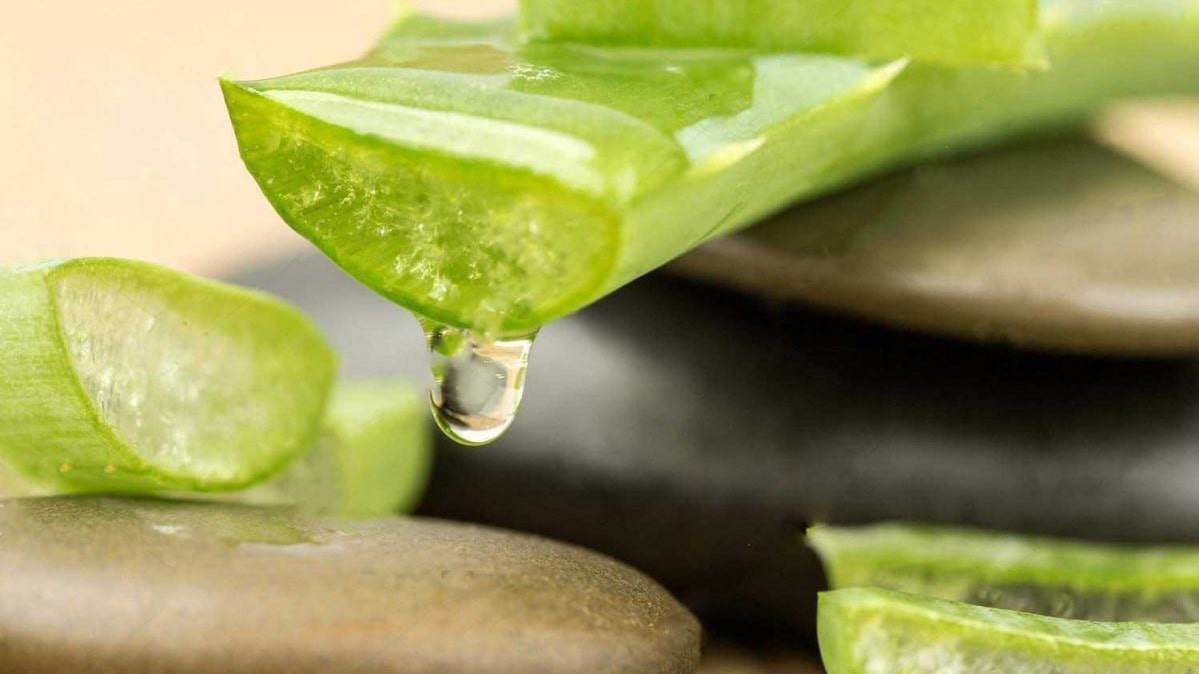 Những cách làm trắng da không bắt nắng HỮU HIỆU