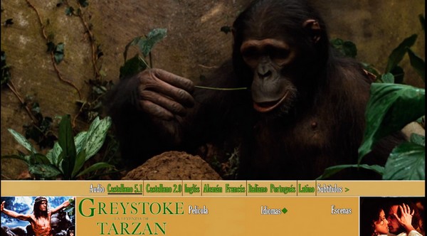 Test du bbcode FluxBB