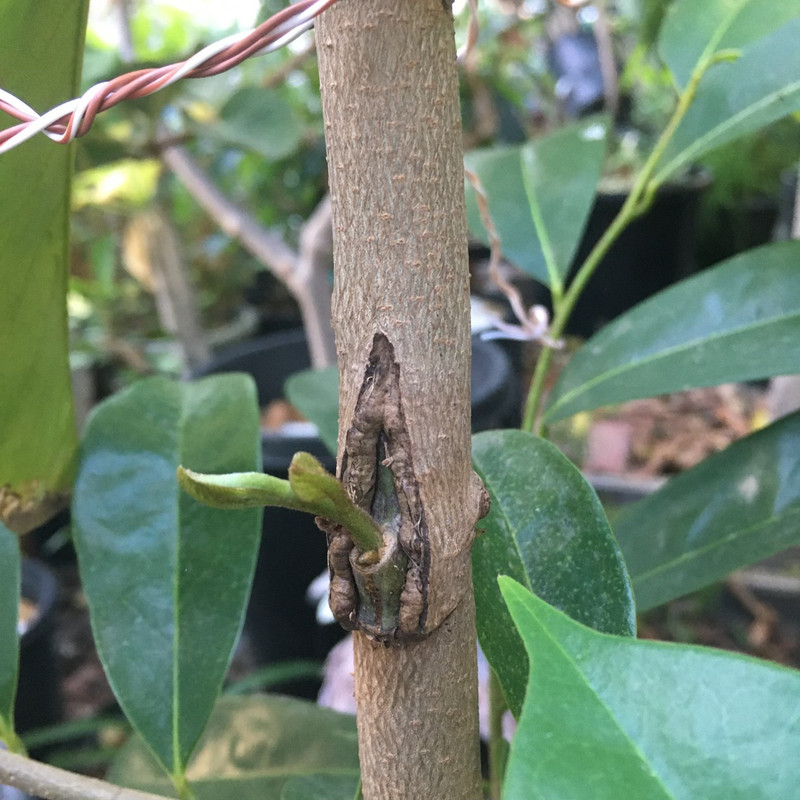 9D26BBD5-AB36-446D-8DA3-203728575596